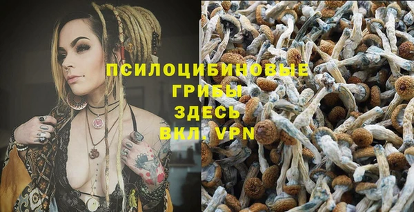 мет Зеленодольск